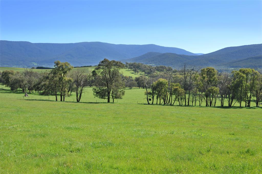 Langbrook Cottages Yarra Junction Habitación foto