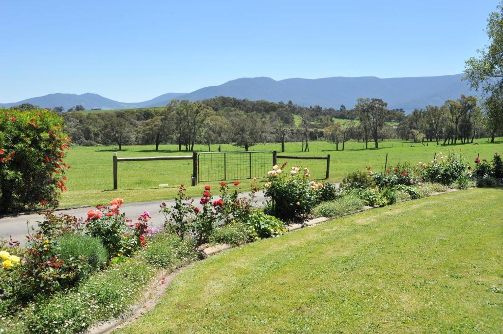 Langbrook Cottages Yarra Junction Exterior foto